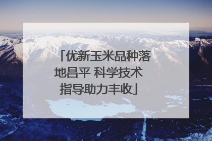 优新玉米品种落地昌平 科学技术指导助力丰收