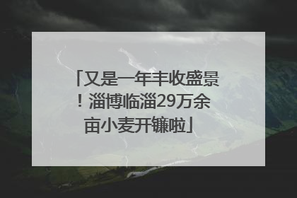 又是一年丰收盛景！淄博临淄29万余亩小麦开镰啦