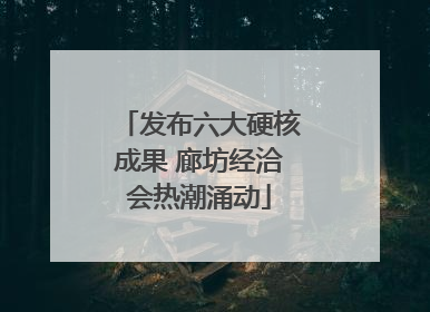 发布六大硬核成果 廊坊经洽会热潮涌动