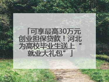 可享最高30万元创业担保贷款！河北为高校毕业生送上“就业大礼包”