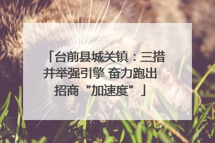 台前县城关镇：三措并举强引擎 奋力跑出招商“加速度”