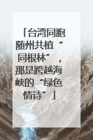 台湾同胞随州共植“同根林”，那是跨越海峡的“绿色情诗”
