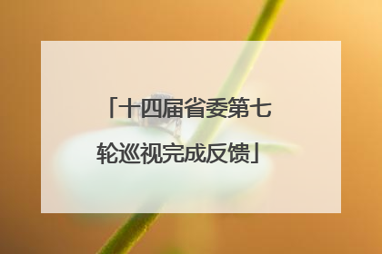 十四届省委第七轮巡视完成反馈