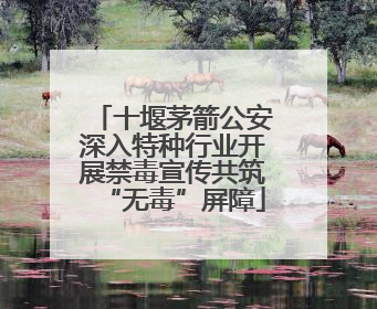 十堰茅箭公安深入特种行业开展禁毒宣传共筑“无毒”屏障