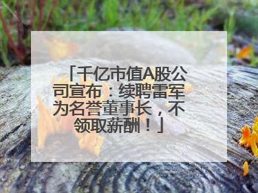千亿市值A股公司宣布：续聘雷军为名誉董事长，不领取薪酬！