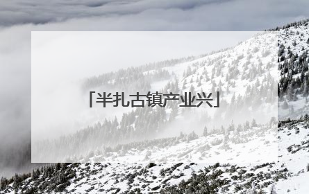 半扎古镇产业兴