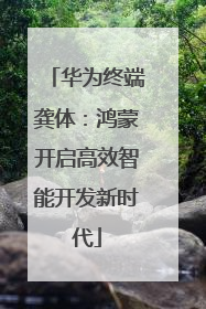 华为终端龚体：鸿蒙开启高效智能开发新时代