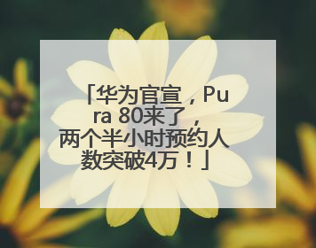 华为官宣，Pura 80来了，两个半小时预约人数突破4万！