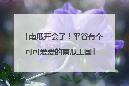 南瓜开会了！平谷有个可可爱爱的南瓜王国