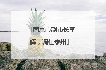南京市副市长李晖，调任泰州