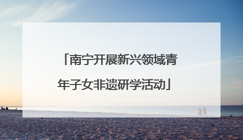 南宁开展新兴领域青年子女非遗研学活动