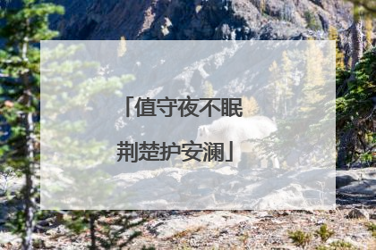 值守夜不眠 荆楚护安澜
