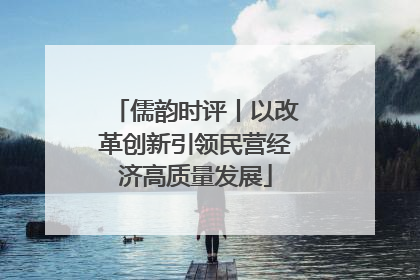 儒韵时评丨以改革创新引领民营经济高质量发展
