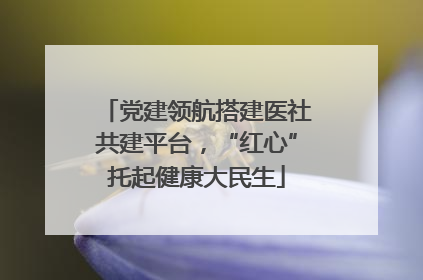 党建领航搭建医社共建平台，“红心”托起健康大民生