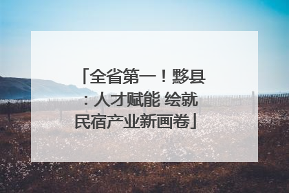 全省第一！黟县：人才赋能 绘就民宿产业新画卷
