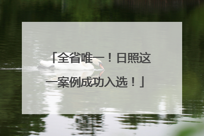 全省唯一！日照这一案例成功入选！