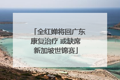 全红婵将回广东康复治疗 或缺席新加坡世锦赛
