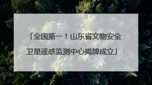 全国第一！山东省文物安全卫星遥感监测中心揭牌成立