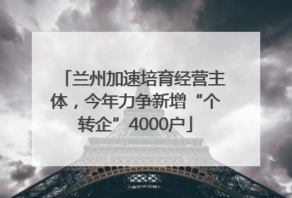 兰州加速培育经营主体，今年力争新增“个转企”4000户