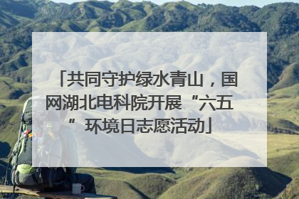 共同守护绿水青山，国网湖北电科院开展“六五”环境日志愿活动