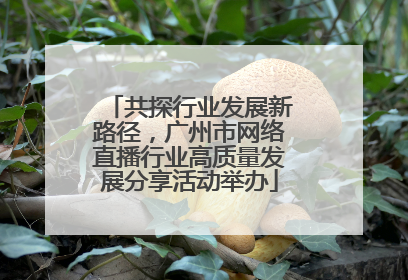 共探行业发展新路径，广州市网络直播行业高质量发展分享活动举办