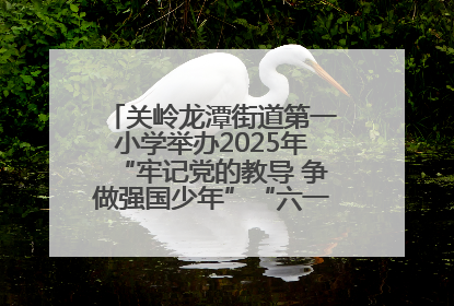 关岭龙潭街道第一小学举办2025年“牢记党的教导 争做强国少年”“六一”文艺汇演活动