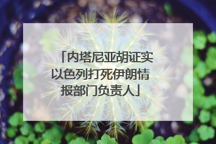 内塔尼亚胡证实以色列打死伊朗情报部门负责人
