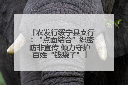 农发行绥宁县支行：“点面结合”织密防非宣传 倾力守护百姓“钱袋子”