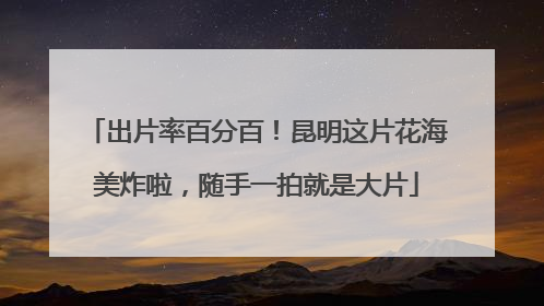 出片率百分百！昆明这片花海美炸啦，随手一拍就是大片