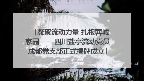 凝聚流动力量 扎根蓉城家园——四川盐亭流动党员成都党支部正式揭牌成立