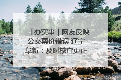 办实事｜网友反映公交票价错误 辽宁阜新：及时核查更正 加强实时巡检