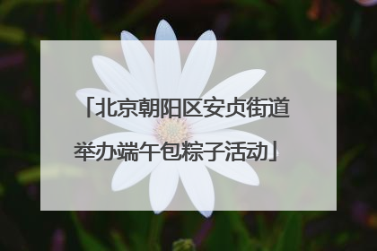 北京朝阳区安贞街道举办端午包粽子活动