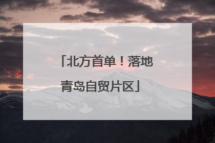 北方首单！落地青岛自贸片区