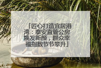 匠心打造宜居港湾：泰安直管公房焕发新颜，群众幸福指数节节攀升
