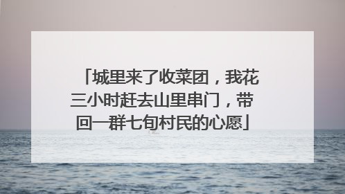 城里来了收菜团，我花三小时赶去山里串门，带回一群七旬村民的心愿