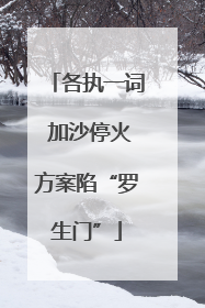 各执一词 加沙停火方案陷“罗生门”