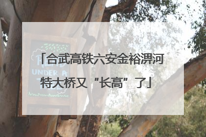 合武高铁六安金裕淠河特大桥又“长高”了