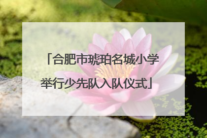 合肥市琥珀名城小学举行少先队入队仪式