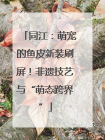 同江：萌宠的鱼皮新装刷屏！非遗技艺与“萌态跨界”