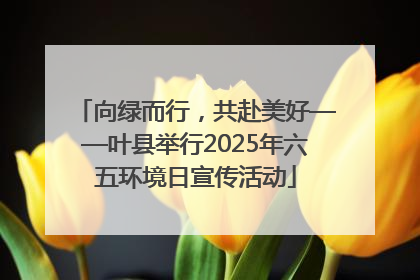 向绿而行，共赴美好——叶县举行2025年六五环境日宣传活动