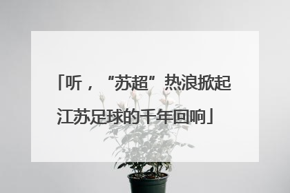听，“苏超”热浪掀起江苏足球的千年回响
