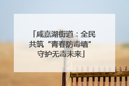 咸嘉湖街道：全民共筑“青春防毒墙” 守护无毒未来