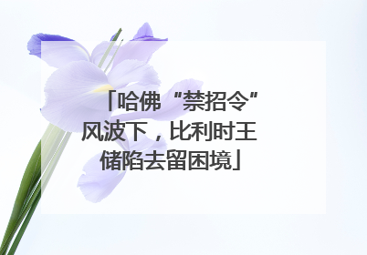 哈佛“禁招令”风波下，比利时王储陷去留困境