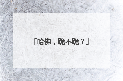 哈佛，跪不跪？