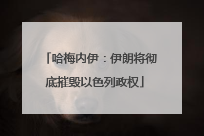 哈梅内伊：伊朗将彻底摧毁以色列政权