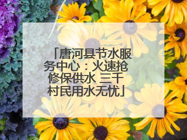 唐河县节水服务中心：火速抢修保供水 三千村民用水无忧
