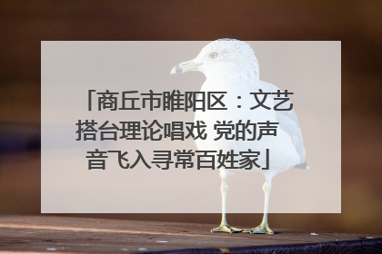 商丘市睢阳区：文艺搭台理论唱戏 党的声音飞入寻常百姓家