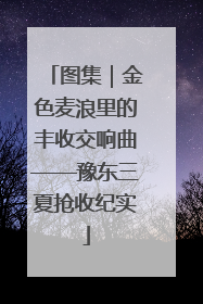 图集｜金色麦浪里的丰收交响曲——豫东三夏抢收纪实
