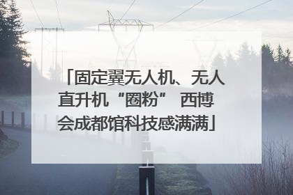 固定翼无人机、无人直升机“圈粉” 西博会成都馆科技感满满