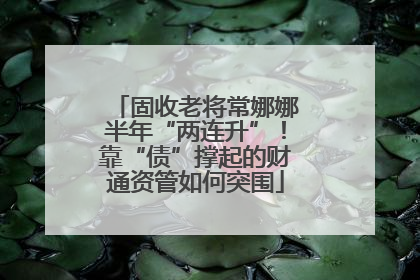 固收老将常娜娜半年“两连升”！靠“债”撑起的财通资管如何突围